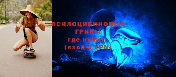 спайс Алзамай