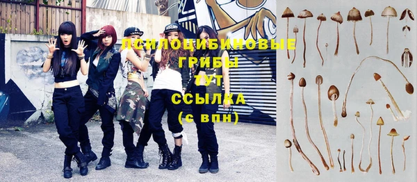 спайс Алзамай