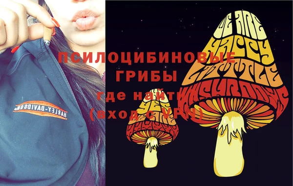 не бодяженный Алексин