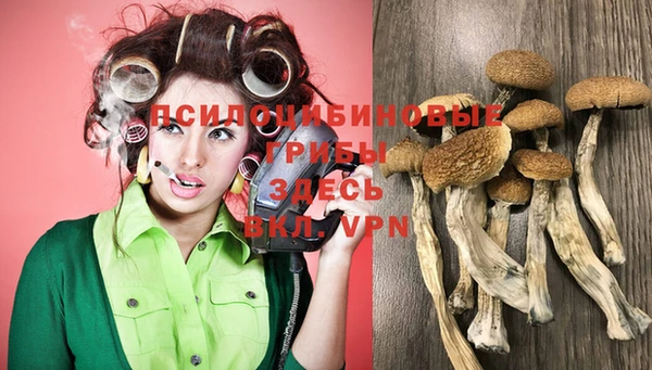 не бодяженный Алексин