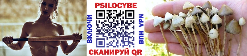 Псилоцибиновые грибы MAGIC MUSHROOMS  купить наркоту  Благодарный 
