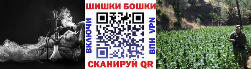 Шишки марихуана семена ОМГ ОМГ Благодарный